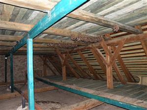 Druhá časť kolónie