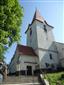 podkovár malý (28.6.2013)