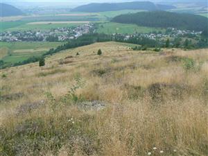 Pohled na cílový biotop v nově vymezené TML a okolní krajinu ve směru Z od zadaných souřadnic