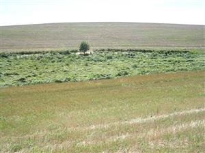 Pohľad na plochu TML