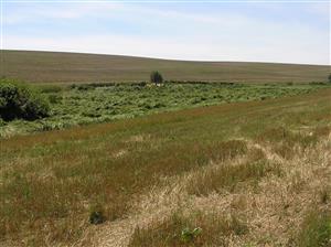 Pohľad na plochu TML