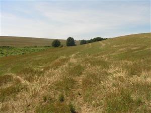 Pohľad na plochu TML