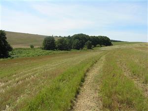 Pohľad na plochu TML