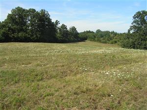 Pohľad na plochu TML