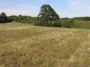 Pohľad na plochu TML