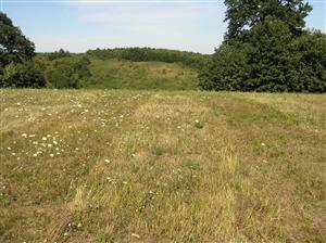 Pohľad na plochu TML