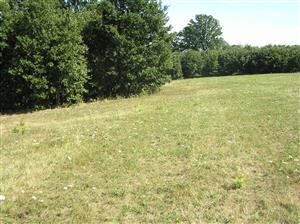 Pohľad na plochu TML