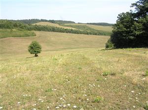 Pohľad na plochu TML