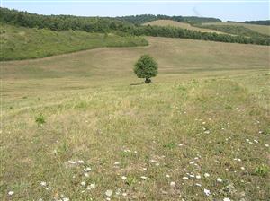 Pohľad na plochu TML