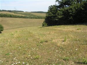 Pohľad na plochu TML