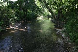 typický úsek toku nad vodnou nádržou