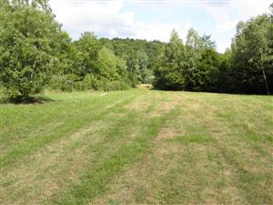 kosená centrálna časť lokality