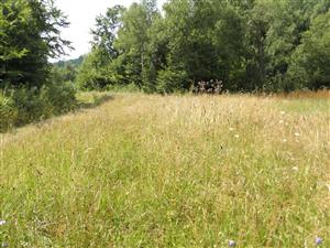 východná časť lokality