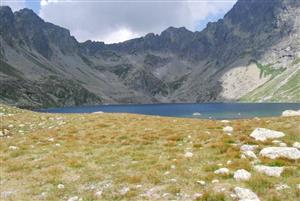 biotop 6150 Veľké Hincové pleso