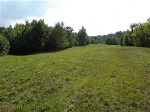 centrálna časť lokality