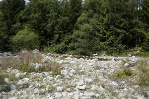 Štrková lavica na potoku Račková.