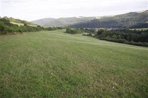 záber na biotop, smer JV