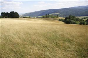 záber na lúku vľavo, smer JV