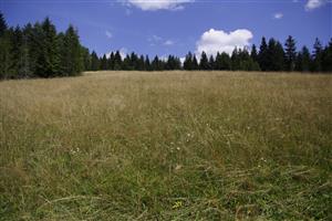 záber na biotop, smer S