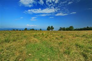 Pohľad na Z časť lokality