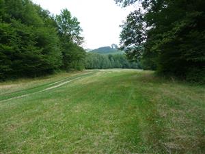 Celkový pohľad na lokalitu - spodná lúka