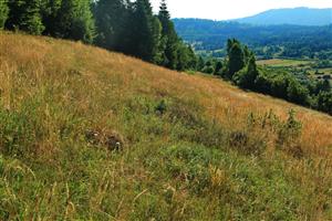 Pohľad na V časť lokality