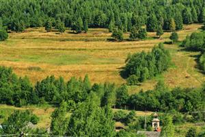 Pohľad na časť lokality