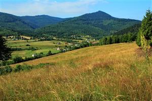 Pohľad na Z časť lokality