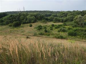 Pohľad na TML z protisvahu