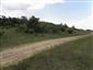 užovka hladká (20.6.2015)