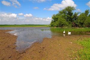 inundačné pásmo pri starom ramene rieky Nitra