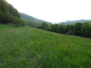 Pohľad na TML_6510_090 na lokalite Sitnianska Lehôtka