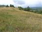 Suchomilné travinnobylinné a krovinové porasty na vápnitom podloží (*dôležité stanovištia Orchideaceae) (14.7.2015)