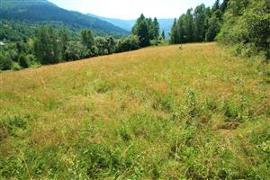 Pohľad na V časť lokality