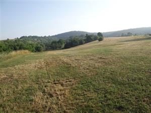 Pohľad na TML_6510_128