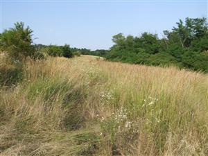opustené lúky na vrchu Jastrák
