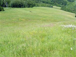 celkový pohľad na lokalitu