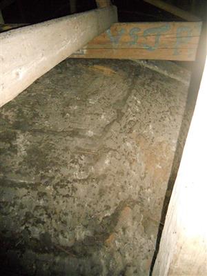 netopierí trus v podkroví na klenbe