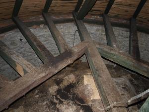 netopierí trus pod kolóniou