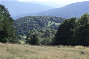 pohľad na pôvodnú plochu