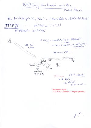 náčrt - zakreslenie pozície TMP_3