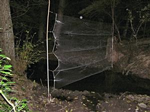 miesto odchytu