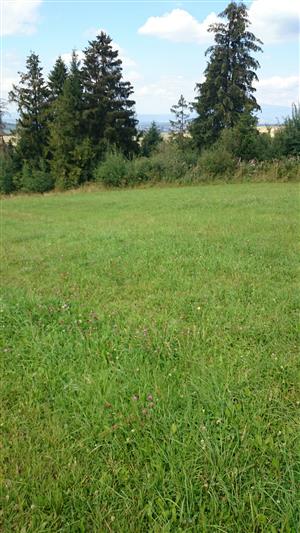 stredna časť lokality