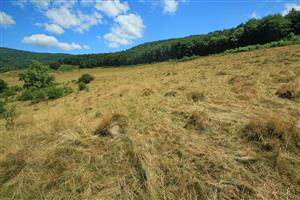 Pohľad na S časť lokality 