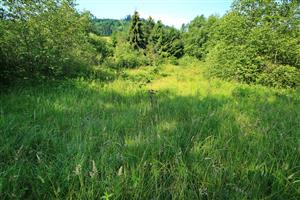 Pohľad na časť lokality