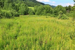 Pohľad na časť lokality