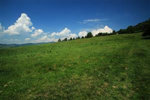 Pohľad na S časť lokality