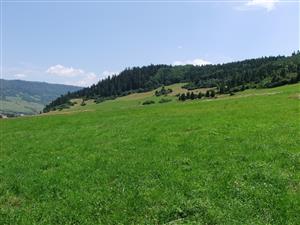 pohľad na biotop (pokosená a nepokosená plocha) 