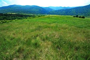 Pohľad na J časť lokality