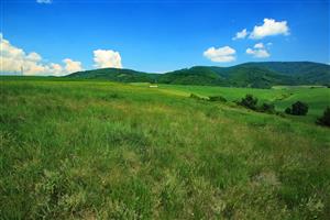 Pohľad na S časť lokality